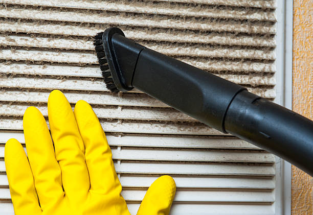 Best Local Air Duct Cleaning Services  in Moncks Corner, SC